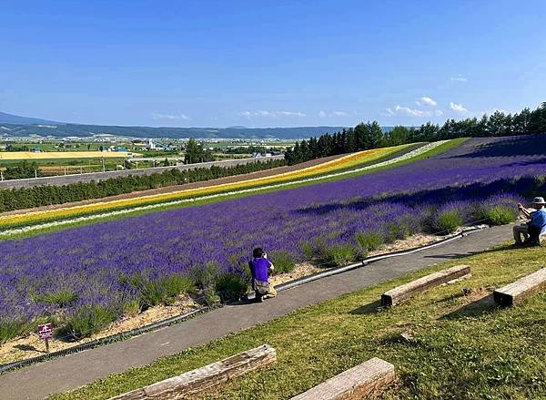 2023_7_8_北海道避暑7日遊_ 夏季必訪景點_富良野『