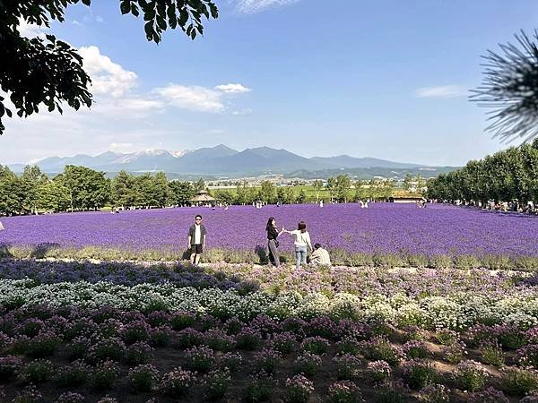 2023_7_8_北海道避暑7日遊_ 夏季必訪景點_富良野『