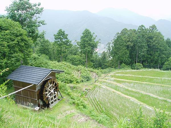 自然田邊