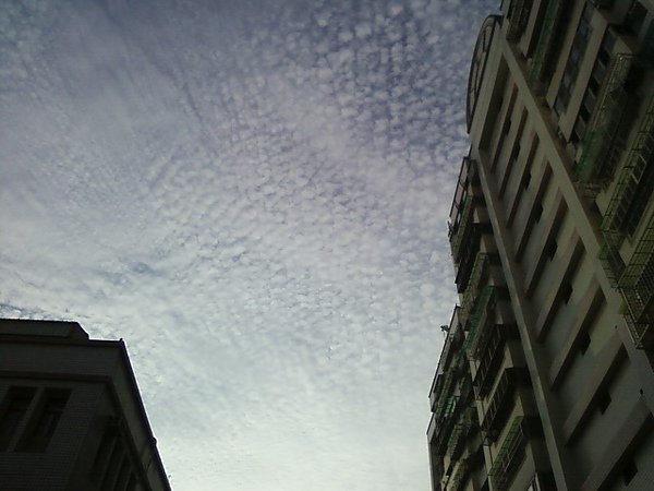 2010.7.9am-1.jpg