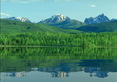 青翠山頂.gif