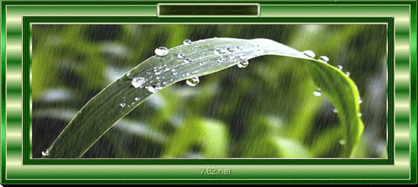 211953_p349[1].gif