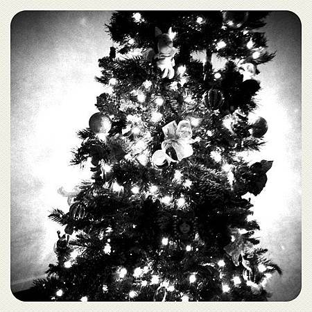 photoCHRISTMASTREE.JPG