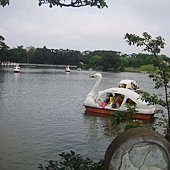 P1010027.JPG