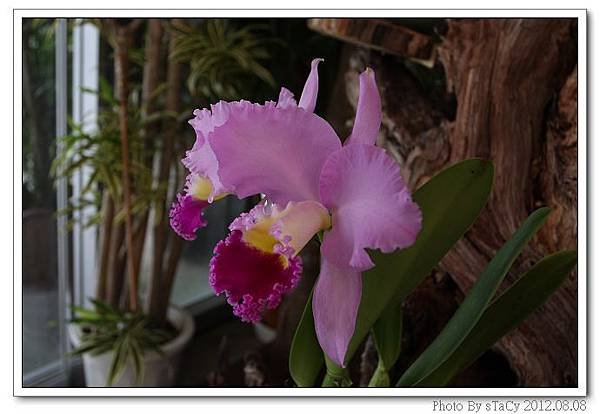 IMG_6204_nEO_IMG