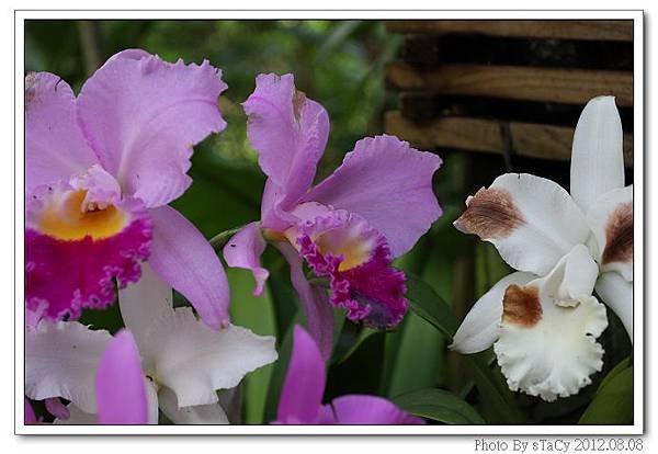IMG_6114_nEO_IMG