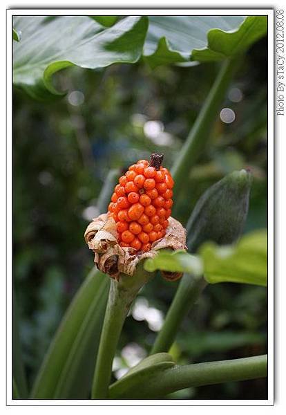 IMG_6158_nEO_IMG