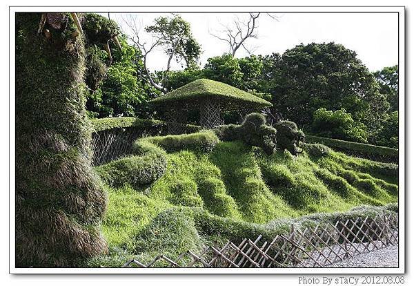 IMG_6180_nEO_IMG
