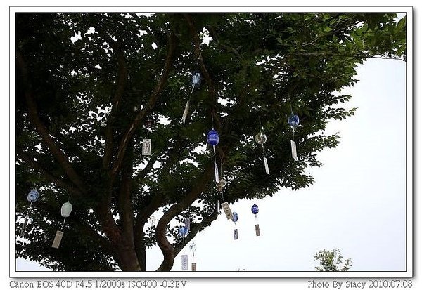 IMG_4861_nEO_IMG_nEO_IMG.jpg