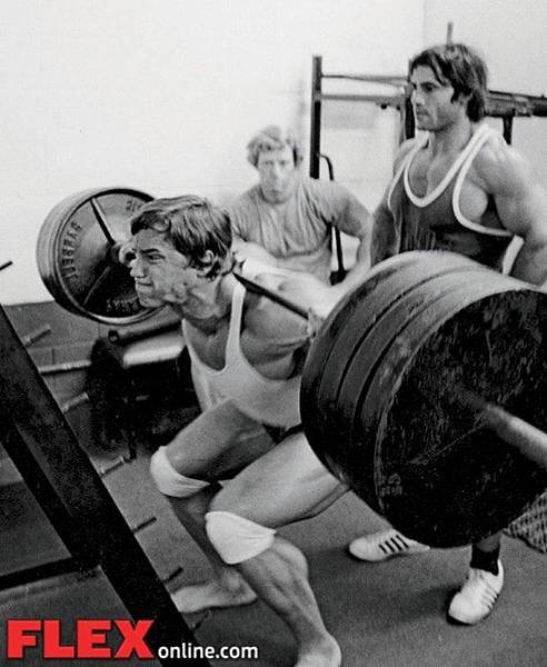 13flex_arnold_squat_inset