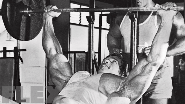 arnold-bench-press_0