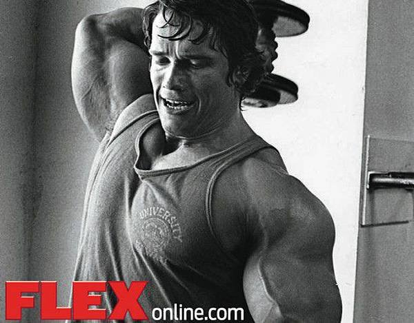 Arnold triceps