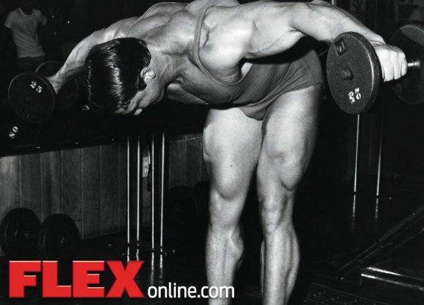 Arnold Rear delts