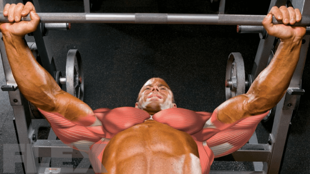 bench-press_1