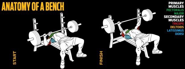 anatomy-of-a-bench