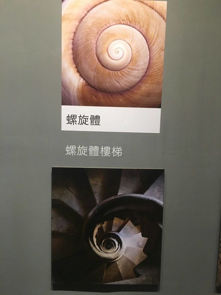 6486020771855.jpg - 展覽