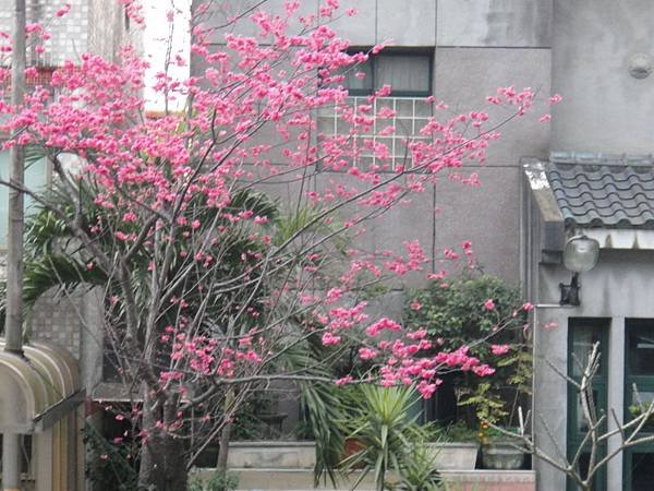 DSC05238