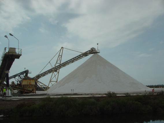 sDSC08660.JPG