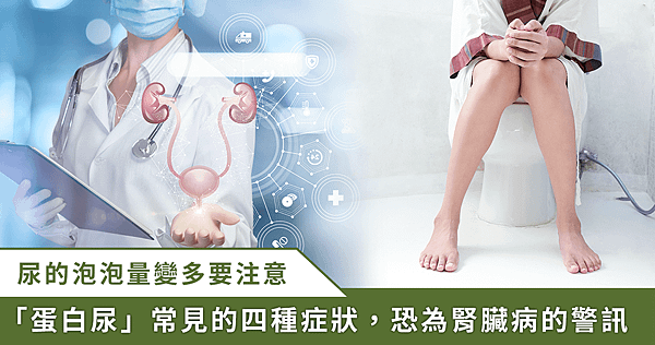 沖馬桶前看一下！尿液「泡泡多」可能是腎臟亮紅燈【磷蝦油魚油】