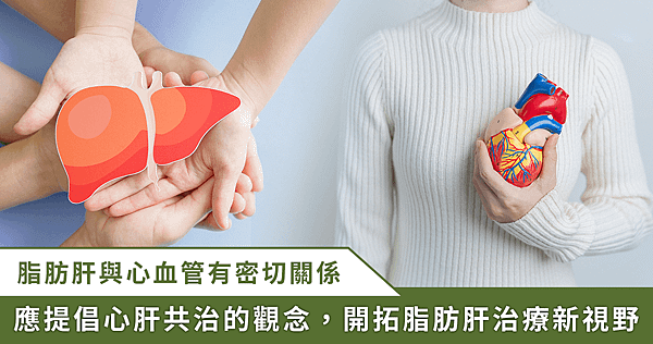 共同照護「心」「肝」寶貝！ 同為代謝異常問題 有脂肪肝也會「