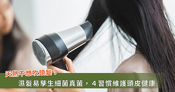 頭髮沒吹乾釀頭皮長細菌？夏季頭皮健康維護4大準則【龜鹿】_龜