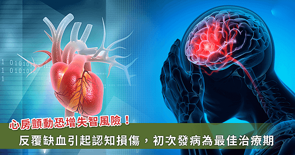 心房顫動增失智風險達27%！醫用「1術式」可降風險【龜鹿】_