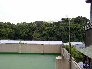 2012-10-13-新北市土城區 機械公司 數位電視