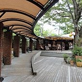 中庭1