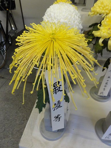 最優等