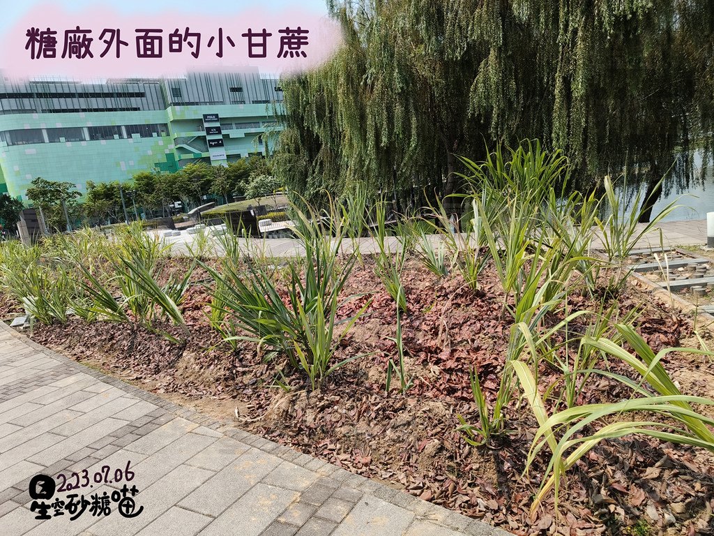 帝國製糖廠9-10-1120713.jpg
