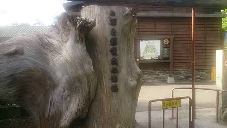 宜蘭16