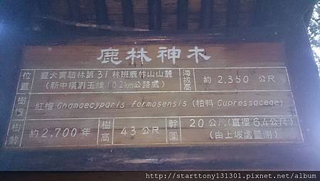 阿里山6