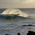 turtle bay resort可以衝浪的海灘
