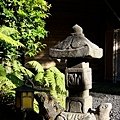 DSC07096.JPG
