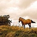 DSC07666.JPG