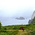 DSC08474.JPG
