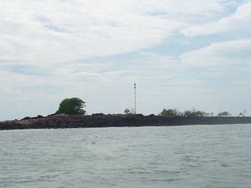 P1010726.JPG