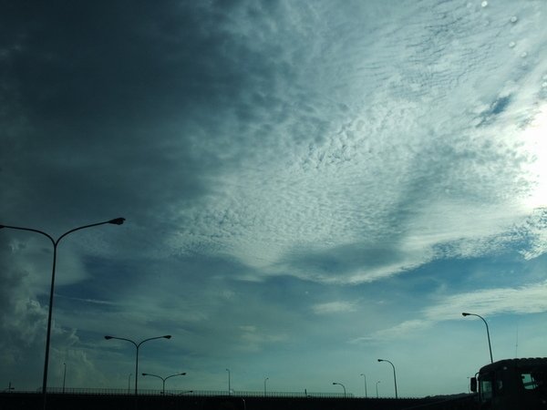 DSCF0459_resize.JPG