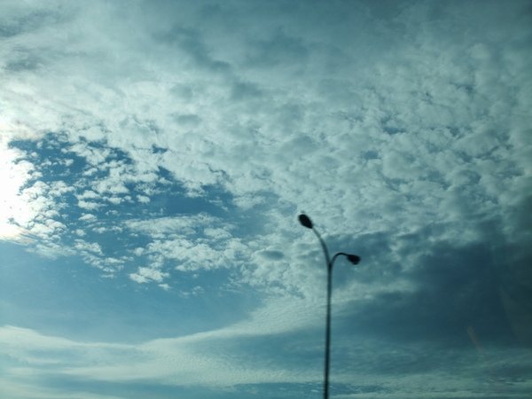 DSCF0460_resize.JPG