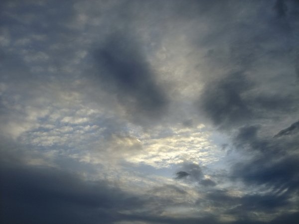 DSCF0495_resize.JPG
