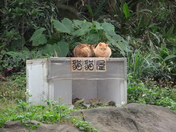 DSCF2116.JPG