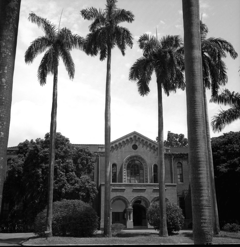 ILFORD DELTA ISO 100 BW 底片曝光誤設