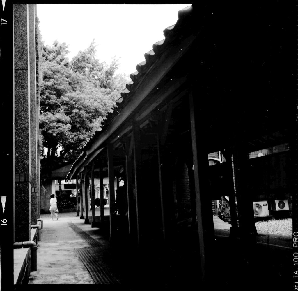 ILFORD DELTA ISO 100 BW 底片曝光誤設