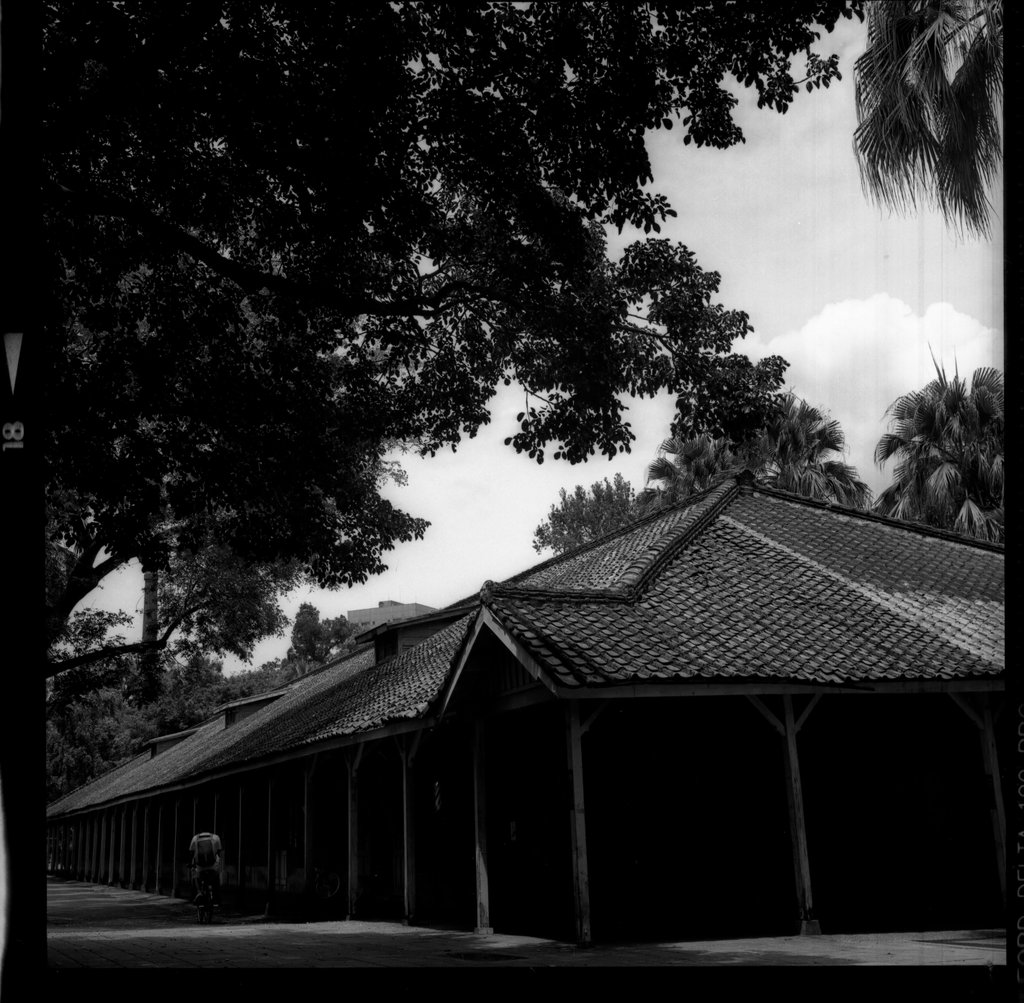 ILFORD DELTA ISO 100 BW 底片曝光誤設
