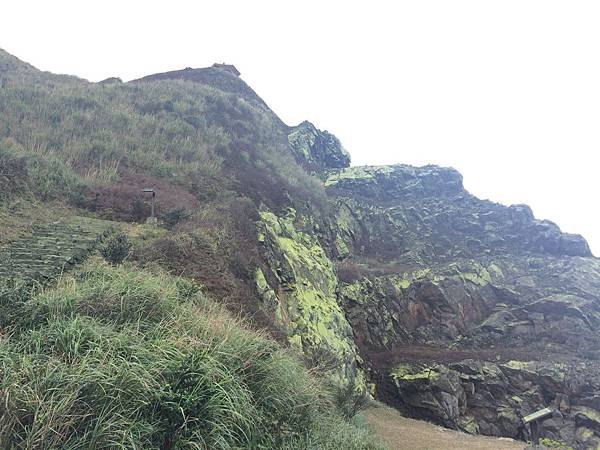IMG_1153.JPG