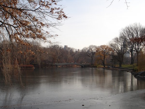 The Lake, Central Park, New York