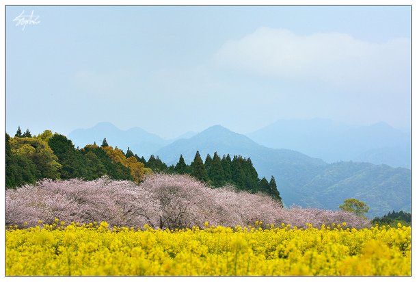 DSC_9661.jpg