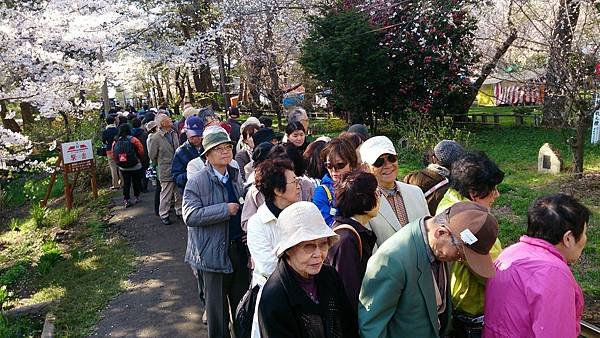 日本東北春櫻 Apr &apos;17_170512_0117.jpg