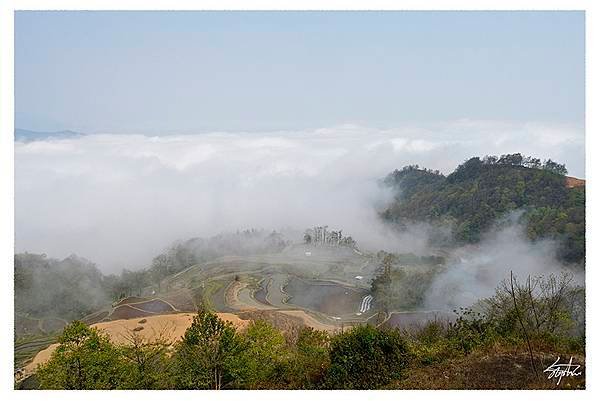 雲南元陽普者黒之久違旅攝