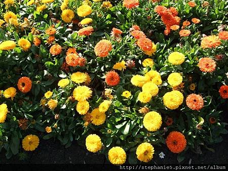 DSCF5297.jpg